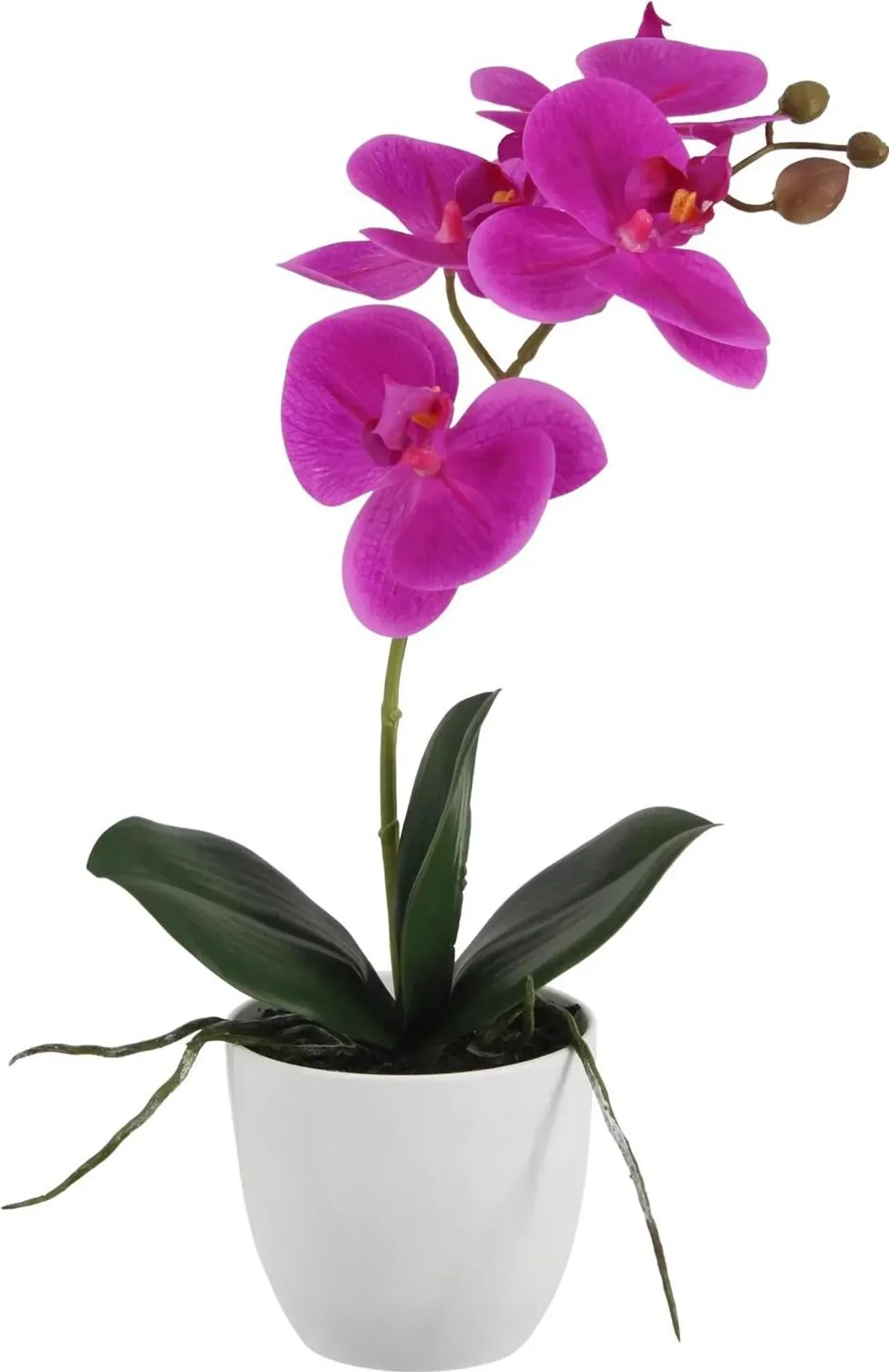 aplanta Künstliche Orchidee „Juan“ – 36 cm, inkl. Dekotopf