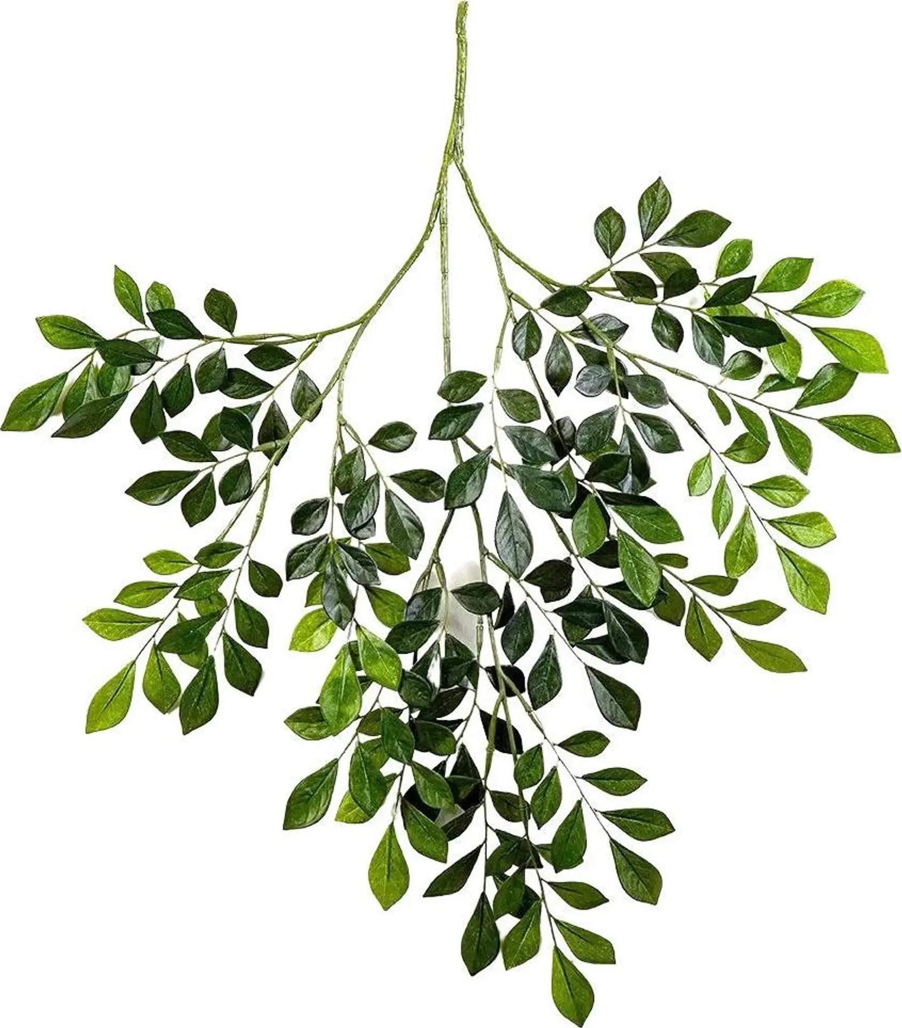 aplanta Künstlicher Murraya Zweig „Benjamin“ – 71 cm