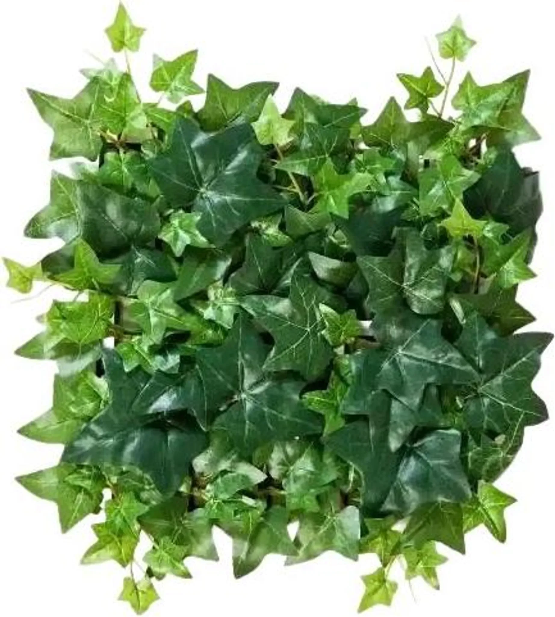 aplanta Künstliche Efeu-Matte „Neville“ – 30×30 cm