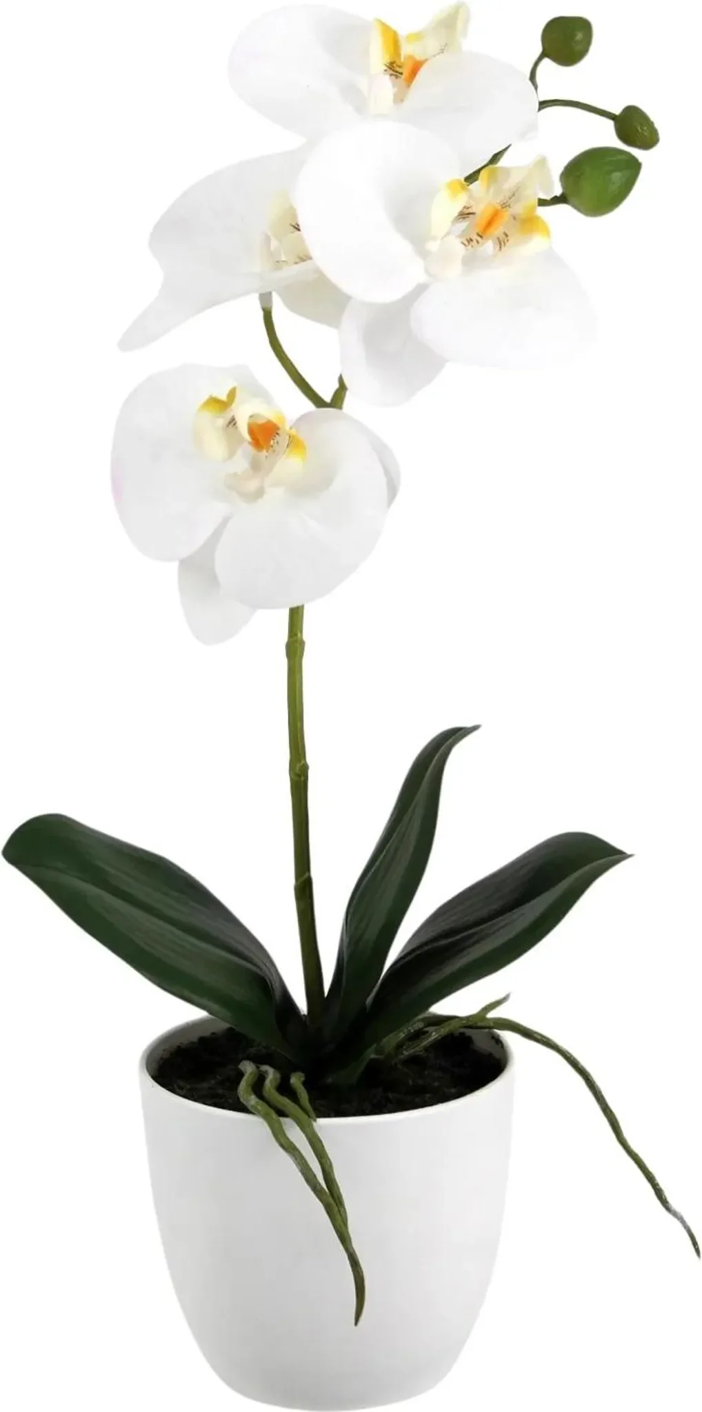 aplanta Künstliche Orchidee „Han“ – 36 cm, inkl. Dekotopf