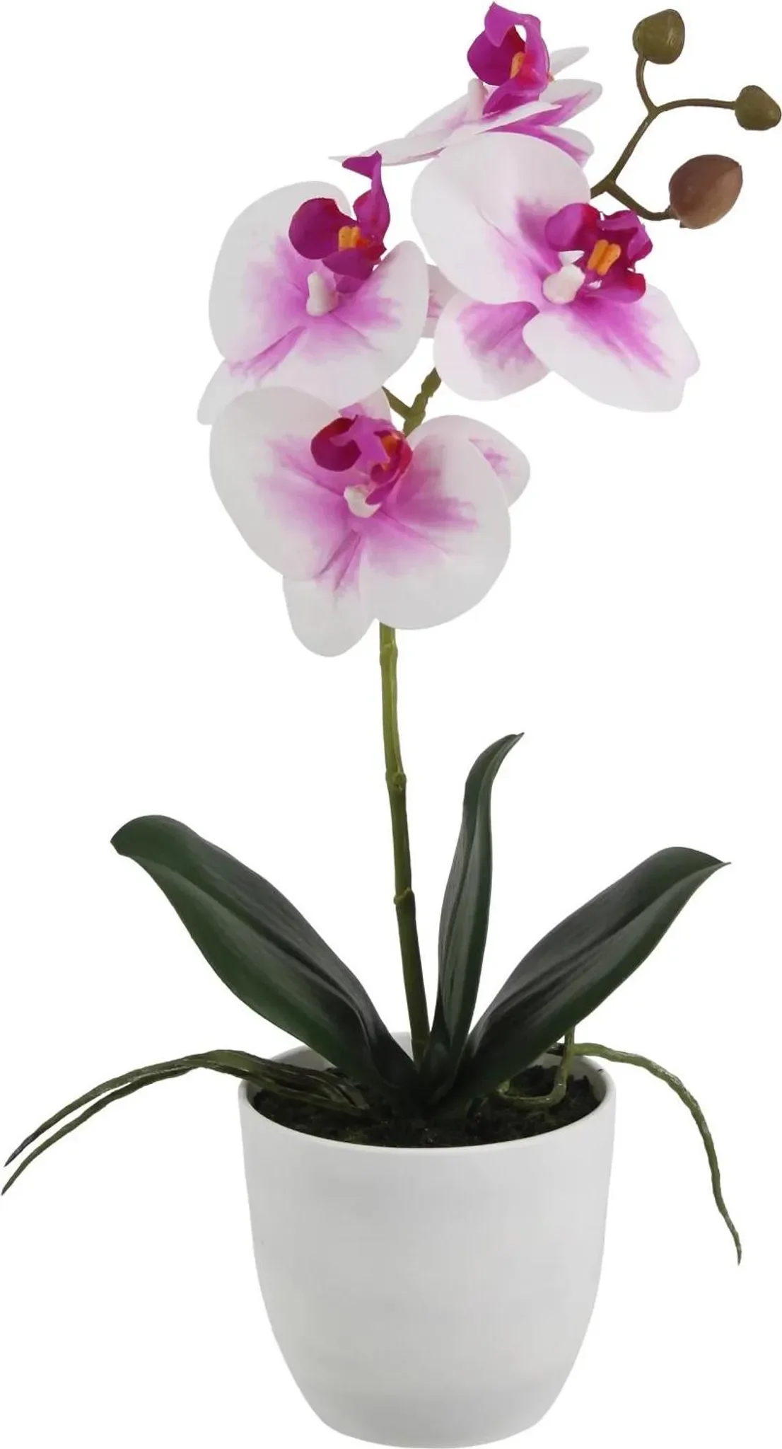 aplanta Künstliche Orchidee „Dan“ – 36 cm inkl. Dekotopf