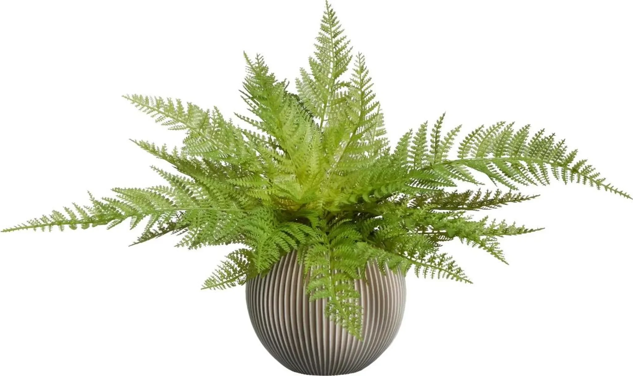 aplanta Künstlicher Frauenfarn „Jupi“ – 47 cm