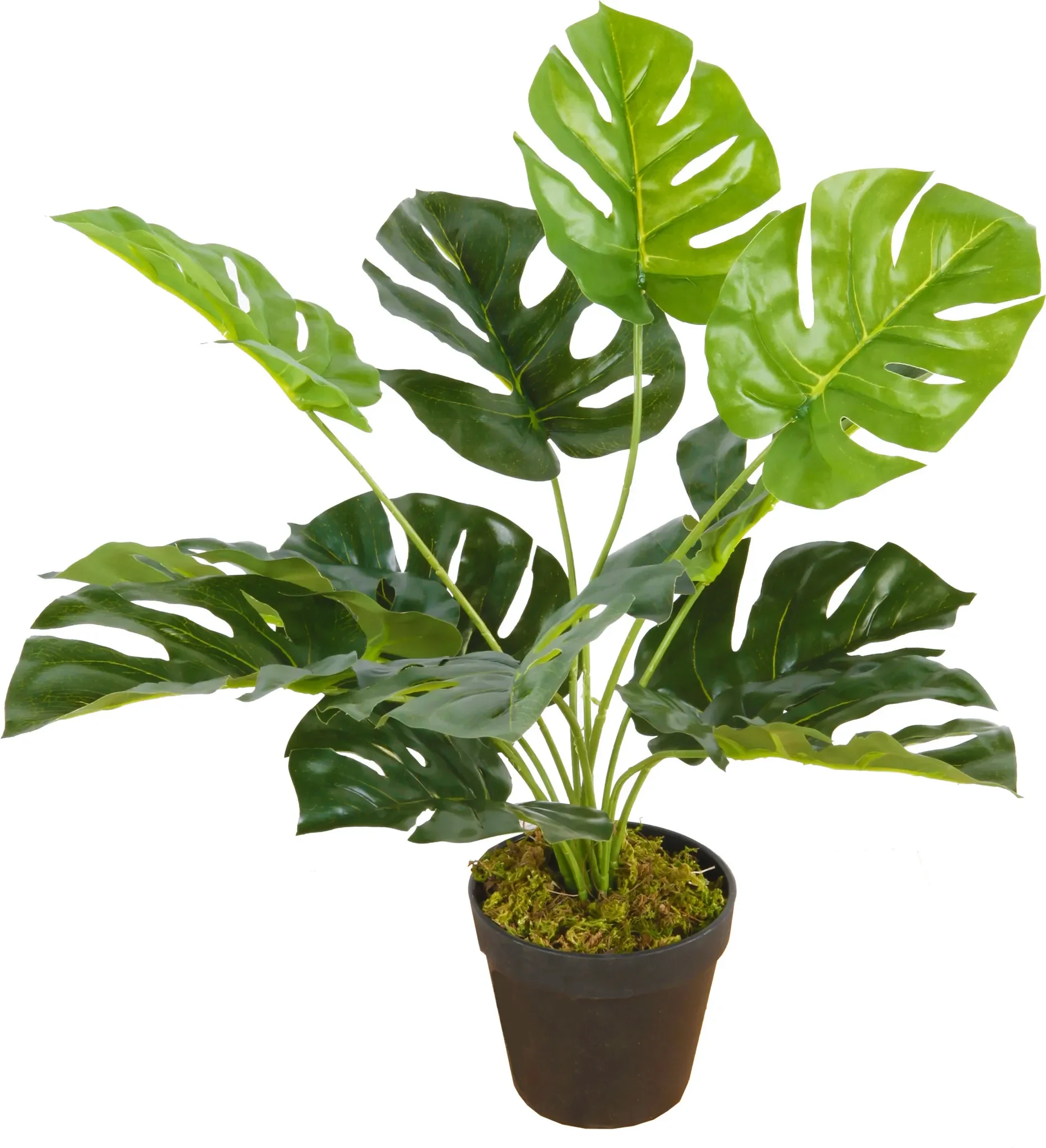 Künstliche Monstera Zimmerpflanze – ca. 45 cm