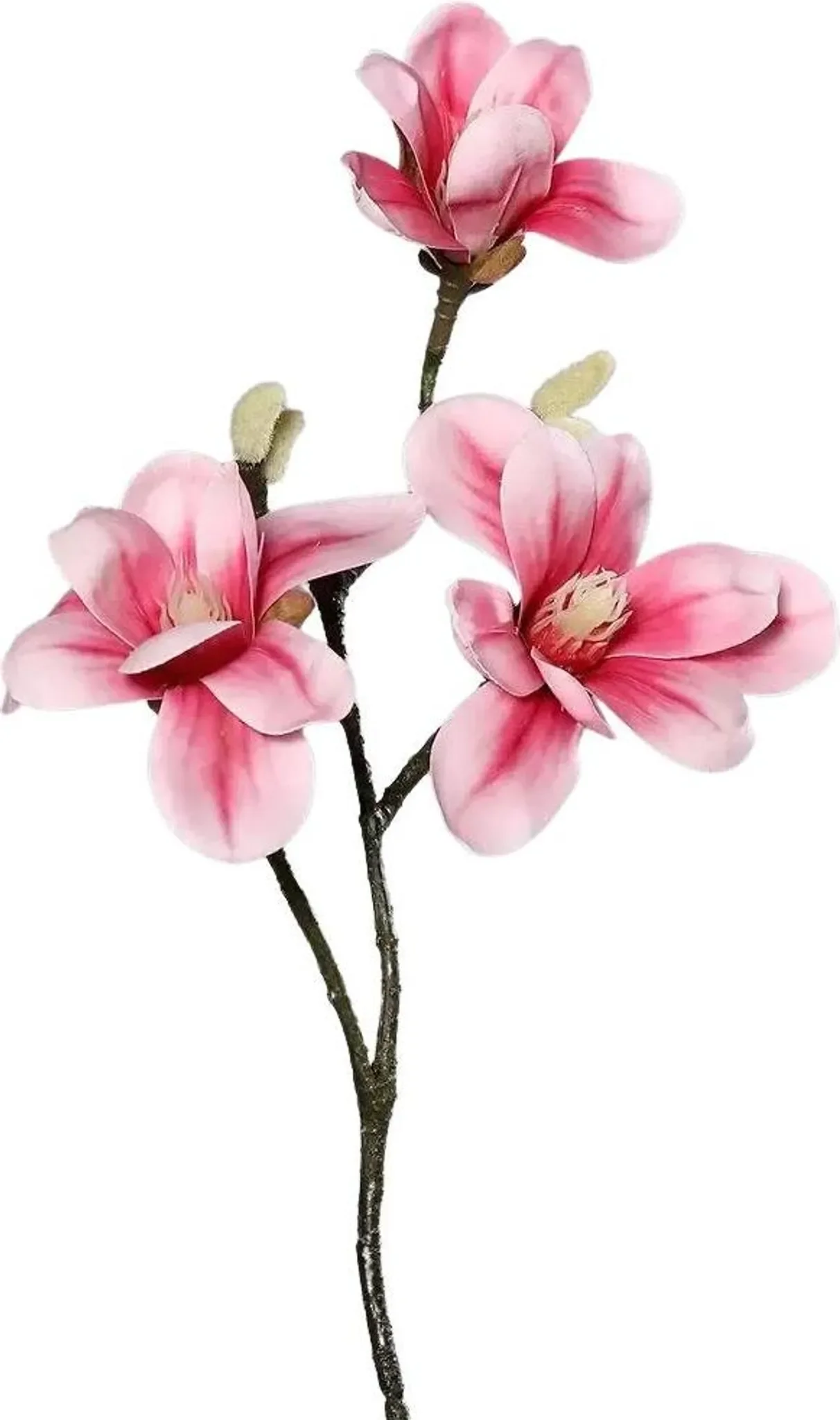 aplanta Künstliche Magnolien – Herta | 40 cm