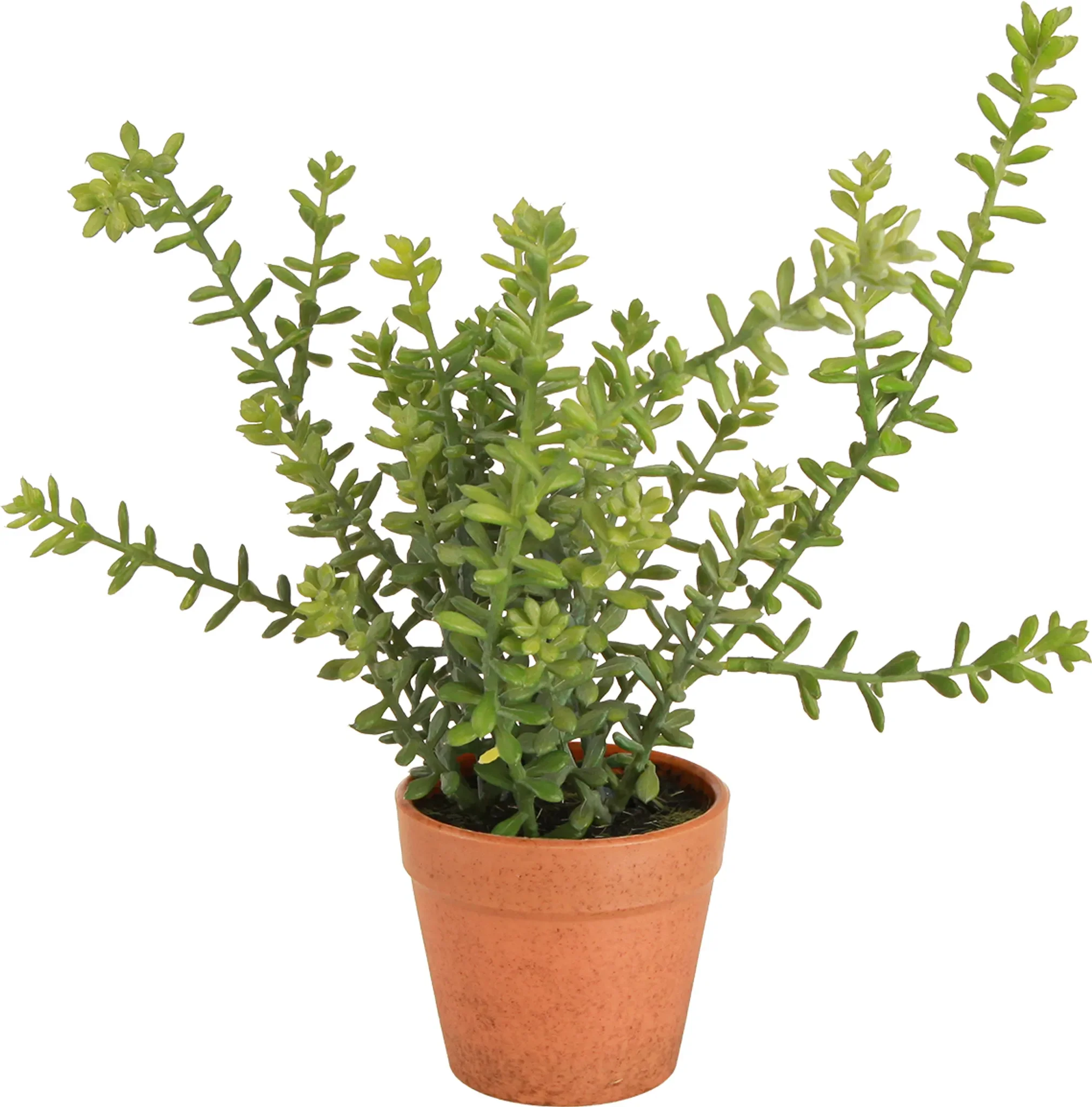 Deko-Thymian im Topf – künstliche Kräuterpflanze, ca. 22 cm