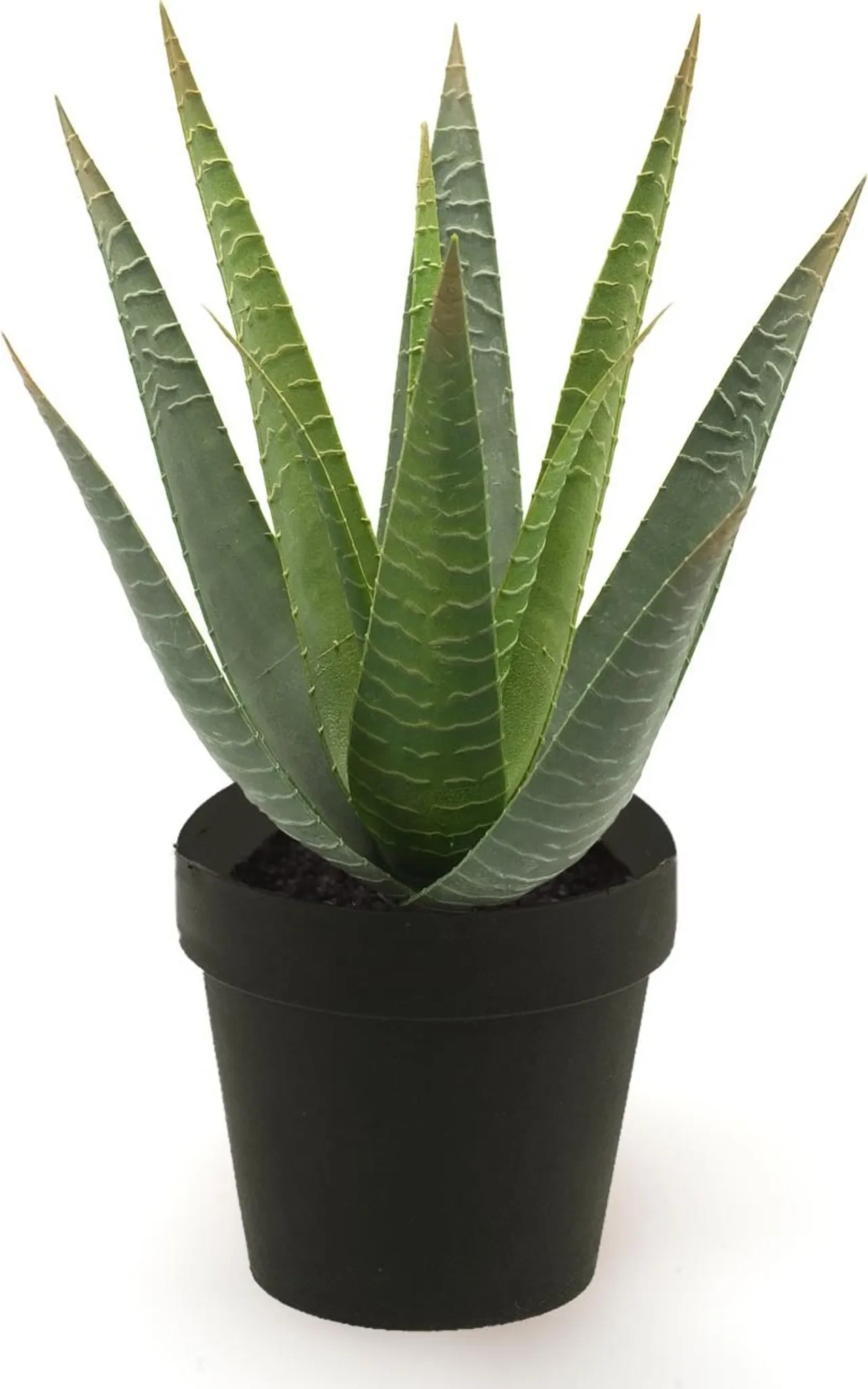 Emerald Künstliche Aloe „Patty“ – 23 cm Kunstpflanze im Topf