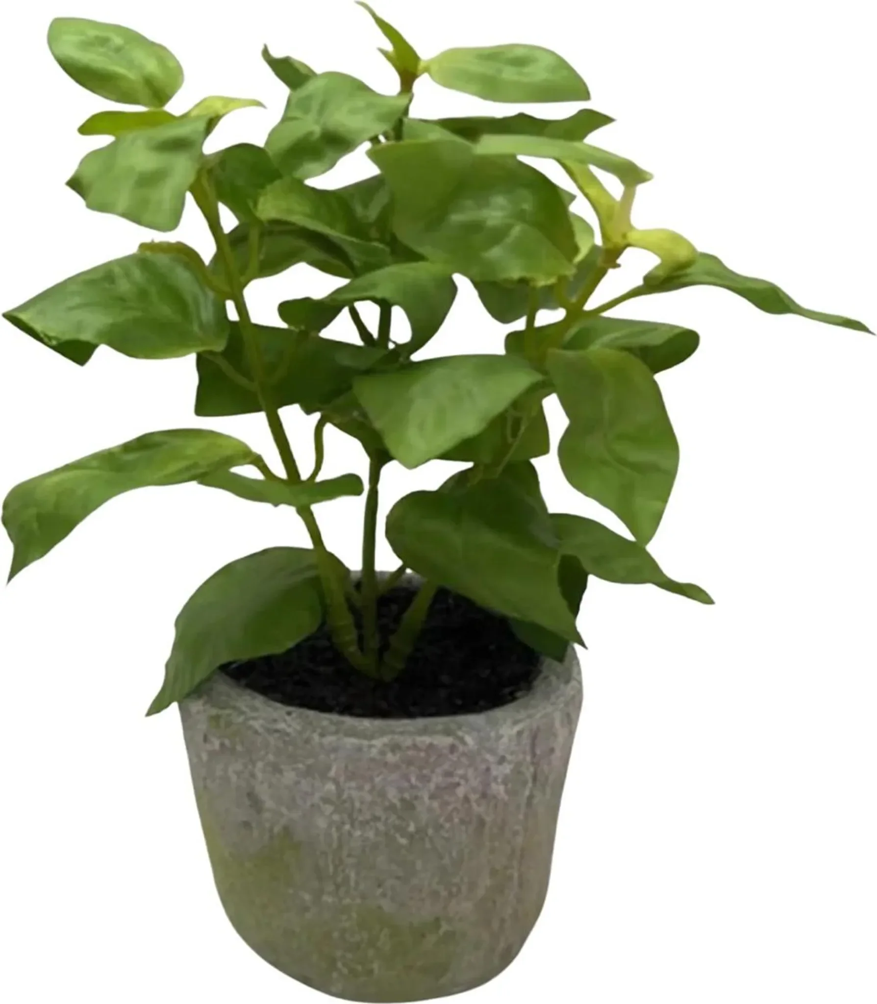 aplanta Künstliches Basilikum – Brusko | 26 cm